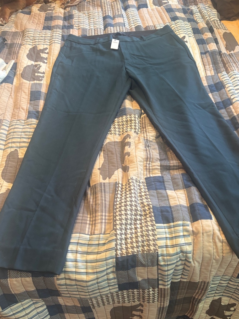 Banana Republic Dark Teal Straight-Leg Trousers